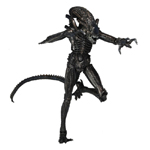 Aliens Black Xenomorph Warrior Action Figure